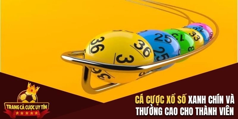 Cá cược Xổ số xanh chín và thưởng cao cho thành viên