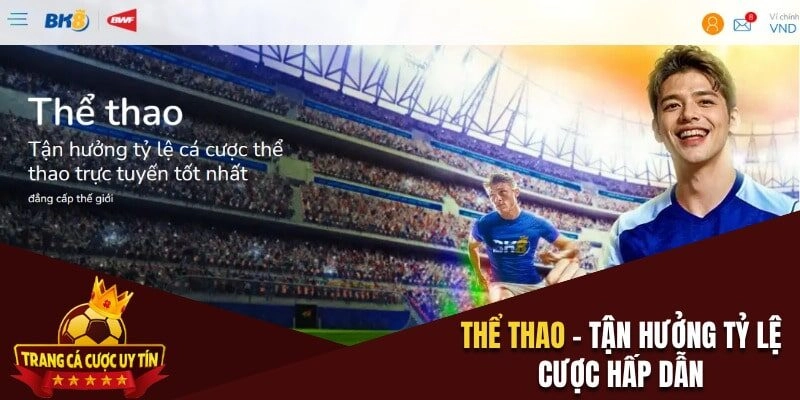 Thể thao - Tỷ lệ cược hấp dẫn, đa dạng loại kèo